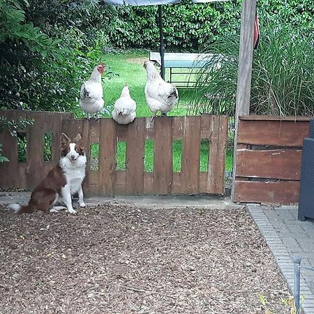 B&B Nieuwleusen エクステリア 写真