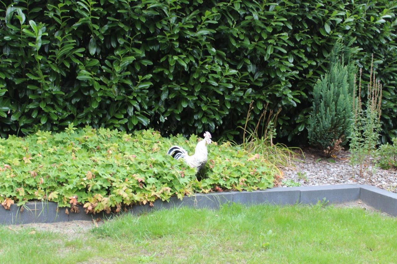 B&B Nieuwleusen エクステリア 写真